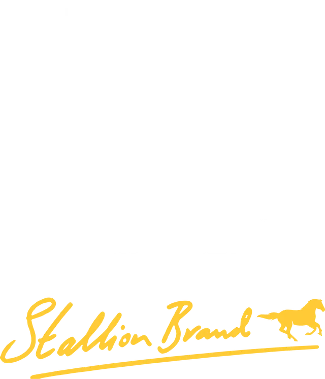 T SHIRT GEEK BY STB